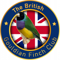 The British Gouldian Finch Club