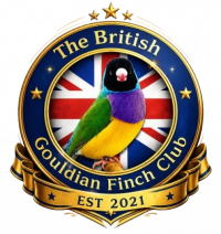 The British Gouldian Finch Club